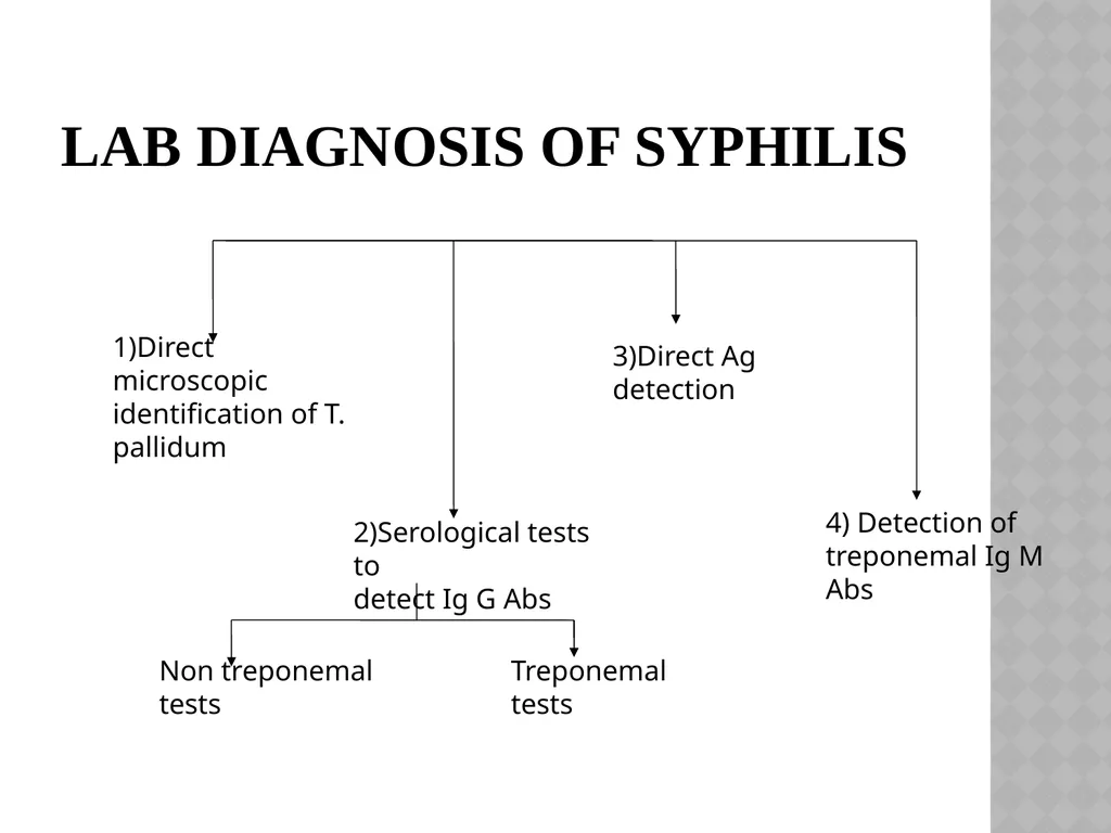 syphilis Learning points INTRODUCTION ETIOLOGY - slide 47 of 75