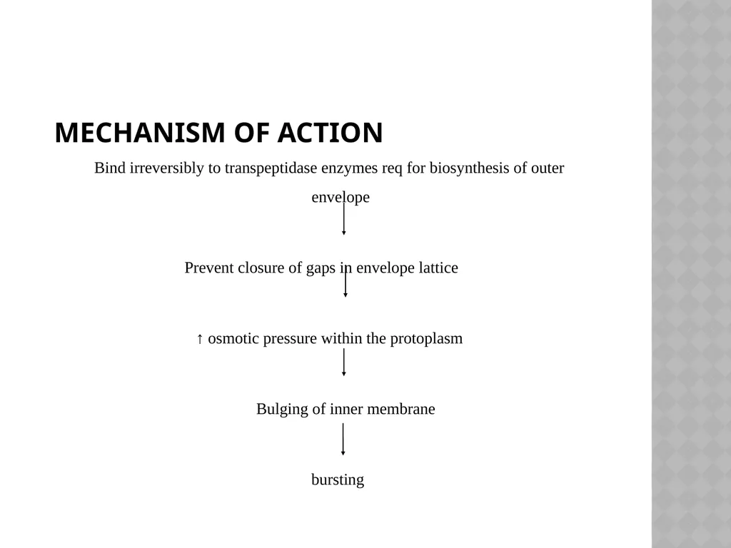 syphilis Learning points INTRODUCTION ETIOLOGY - slide 58 of 75