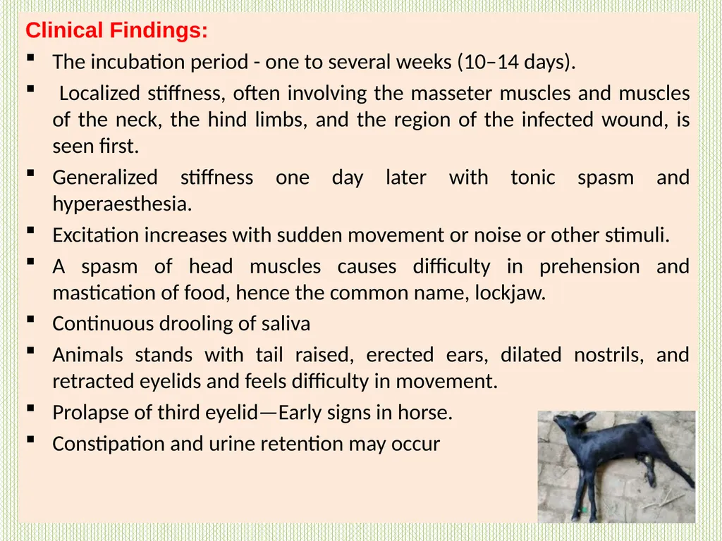 TETANUS Unit-5 Dr Anil Kumar Asst. Professor Dept. - slide 4 of 10