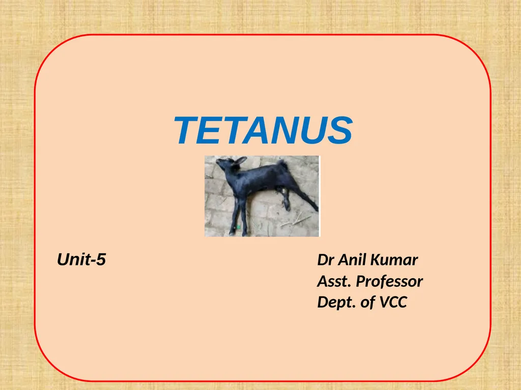 TETANUS Unit-5 Dr Anil Kumar Asst. Professor Dept. - slide 1 of 10