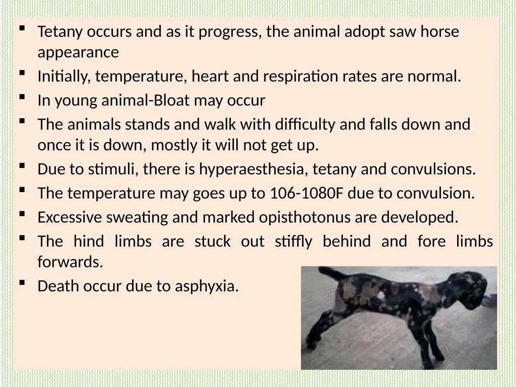 TETANUS Unit-5 Dr Anil Kumar Asst. Professor Dept. - slide 5 of 10