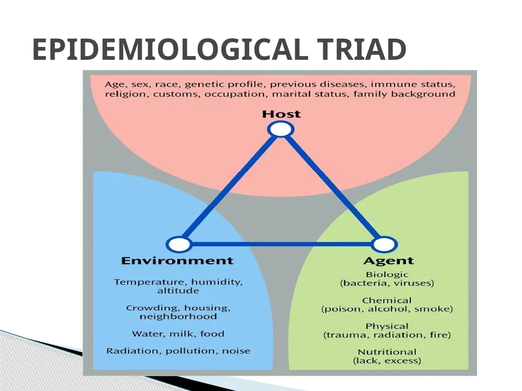 TYPHOID FEVER Typhoid fever is one of a health - slide 4 of 14