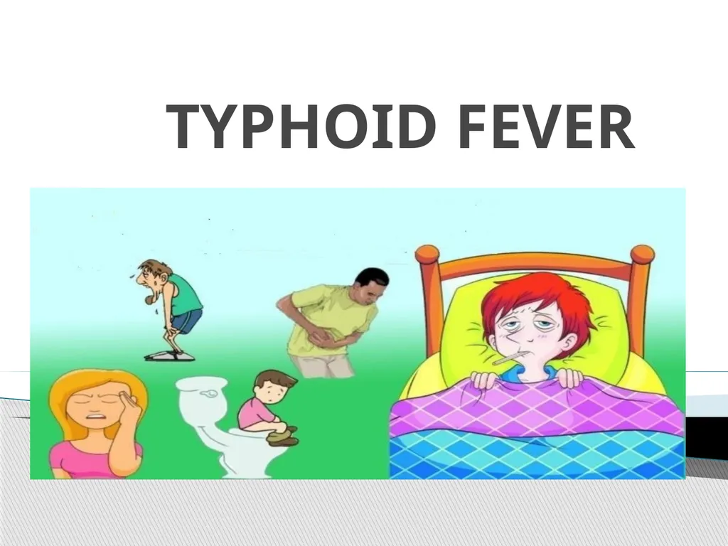TYPHOID FEVER Typhoid fever is one of a health - slide 1 of 14