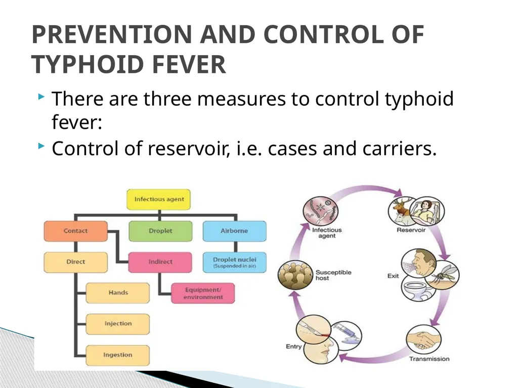 TYPHOID FEVER Typhoid fever is one of a health - slide 12 of 14