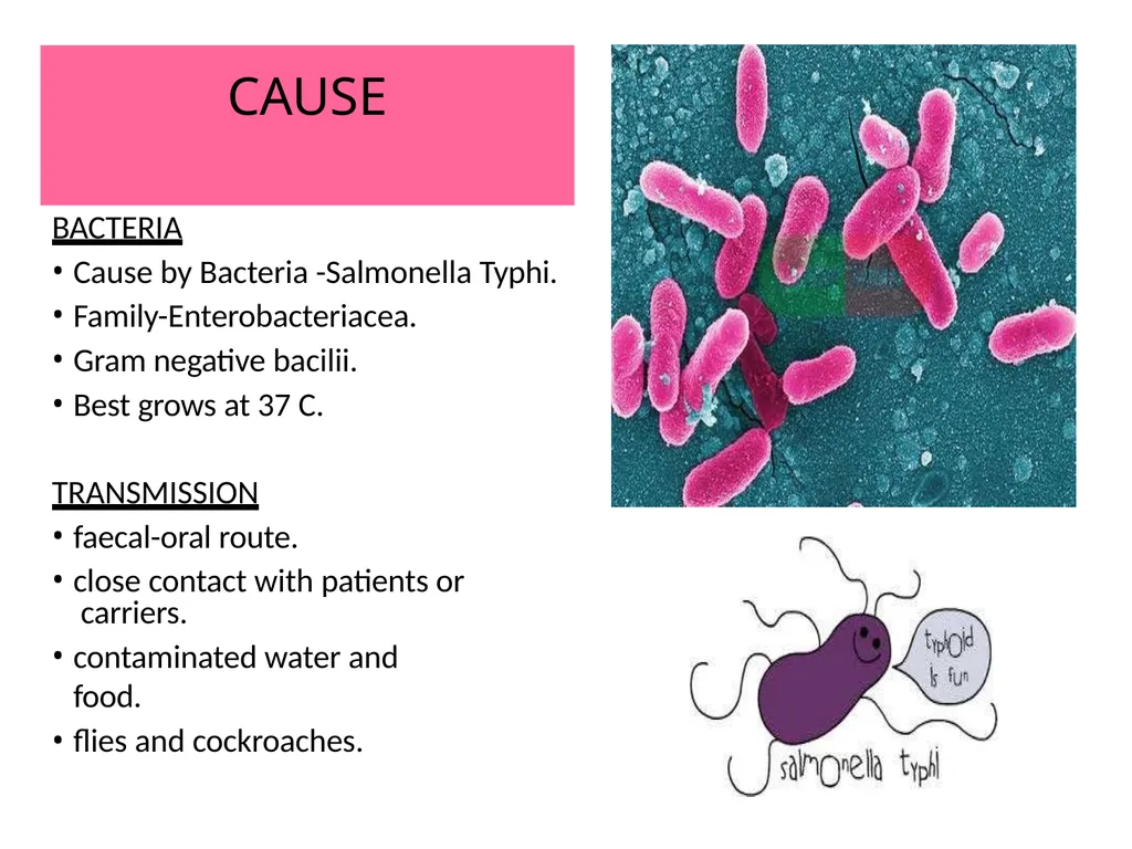 INTRODUCTION Enteric fever, also known as typhoid - slide 3 of 18