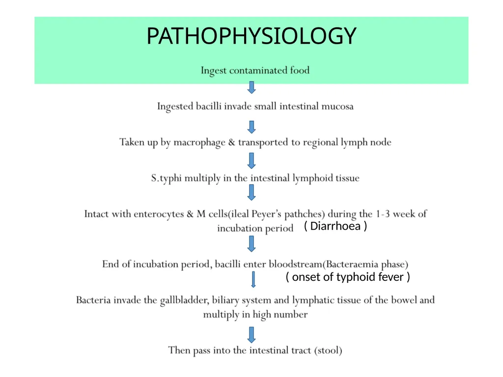 INTRODUCTION Enteric fever, also known as typhoid - slide 7 of 18