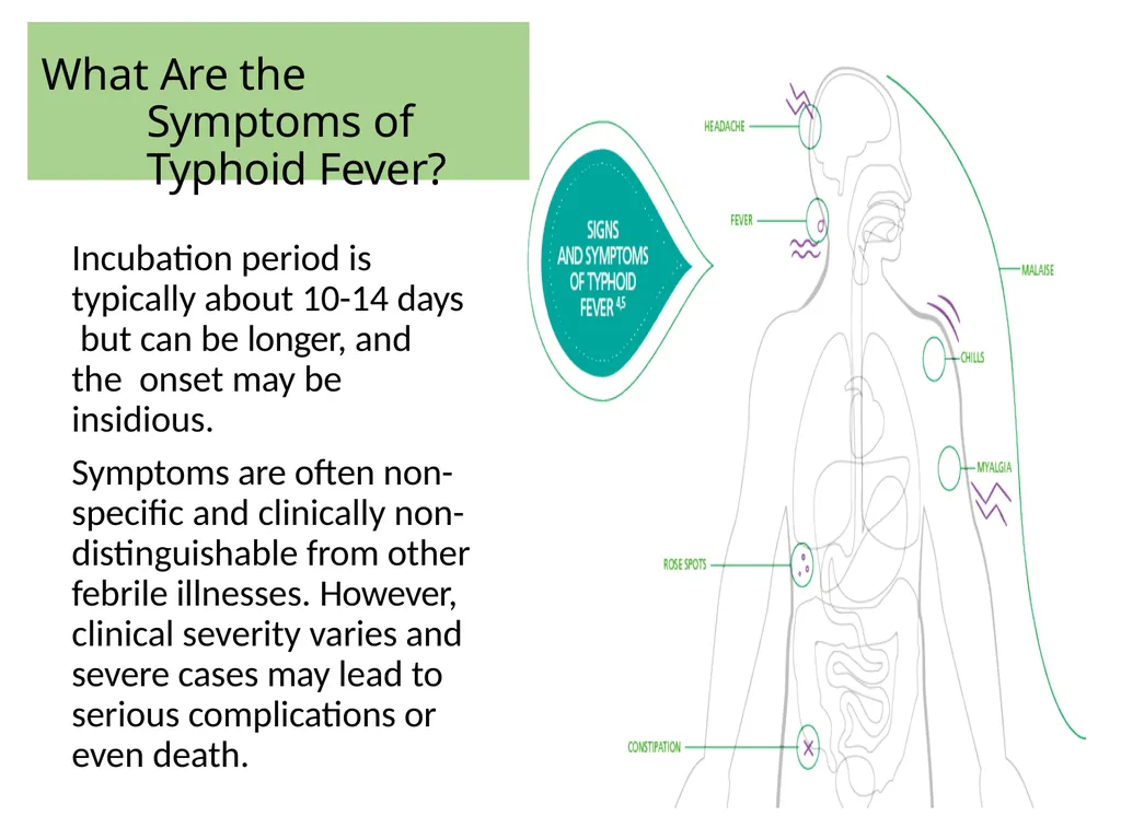 INTRODUCTION Enteric fever, also known as typhoid - slide 8 of 18