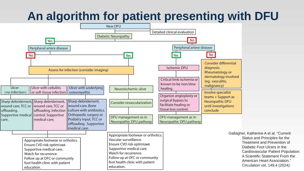 Diabetic Foot Ulcers and When to Revascularize - slide 23 of 23