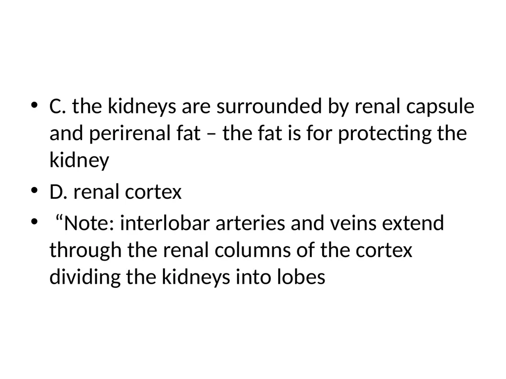 Urinary System I. Functions of the Urinary System - slide 10 of 35