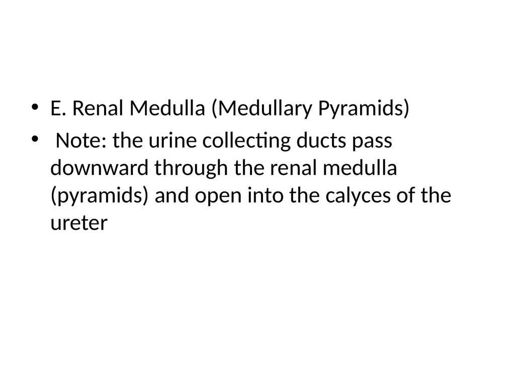 Urinary System I. Functions of the Urinary System - slide 11 of 35