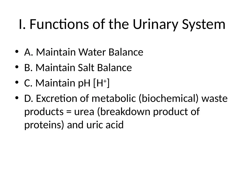 Urinary System I. Functions of the Urinary System - slide 2 of 35