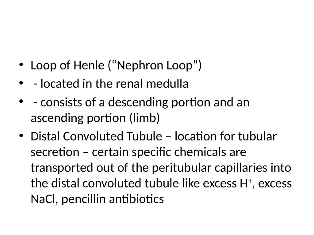 Urinary System I. Functions of the Urinary System - slide 33 of 35