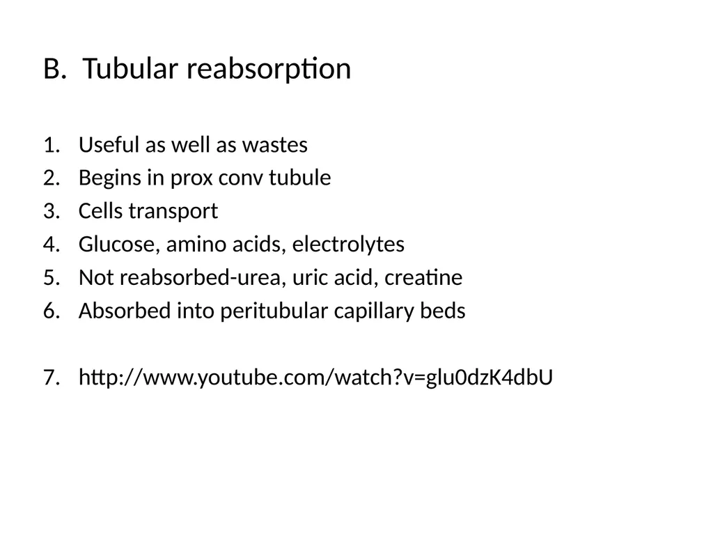 The Urinary System I. Functions A. Maintain and - slide 9 of 13