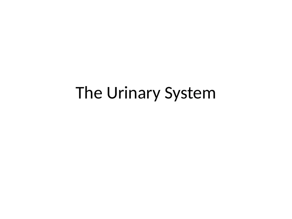 The Urinary System I. Functions A. Maintain and
