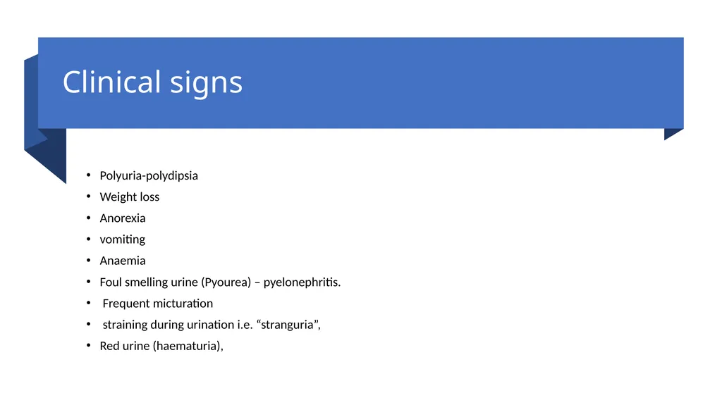 Diseases of Urinary System Part-2 Dr. Pallav - slide 11 of 25