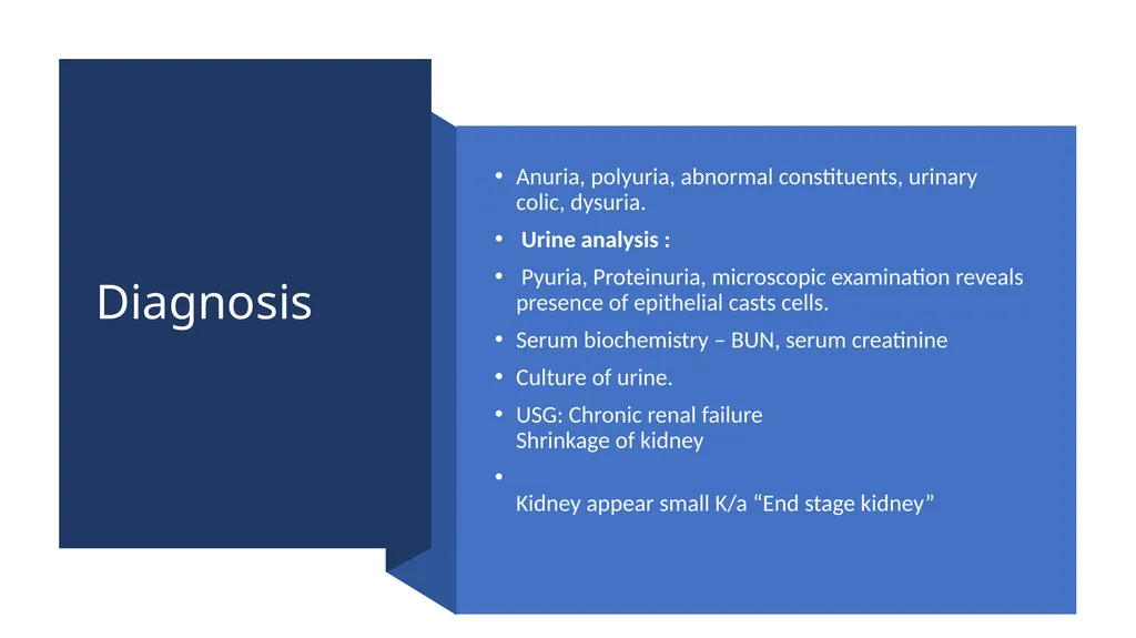 Diseases of Urinary System Part-2 Dr. Pallav - slide 12 of 25