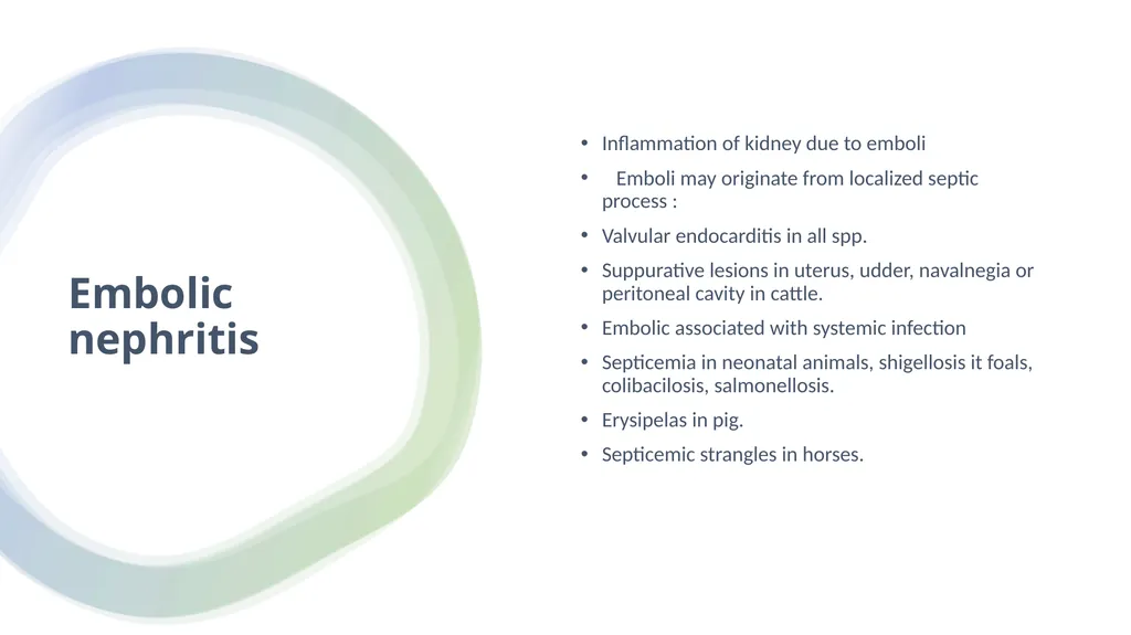 Diseases of Urinary System Part-2 Dr. Pallav - slide 22 of 25