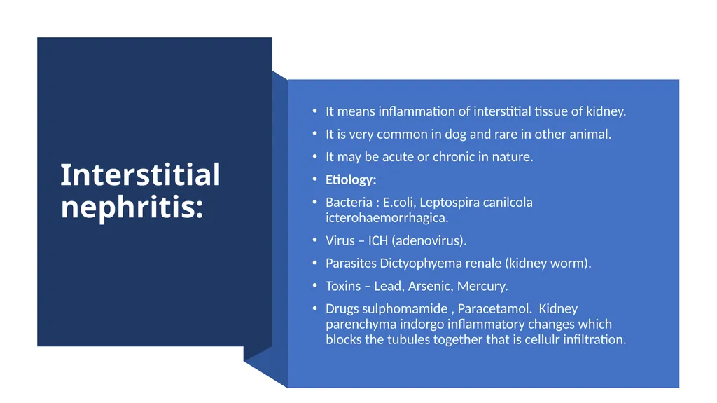 Diseases of Urinary System Part-2 Dr. Pallav - slide 20 of 25