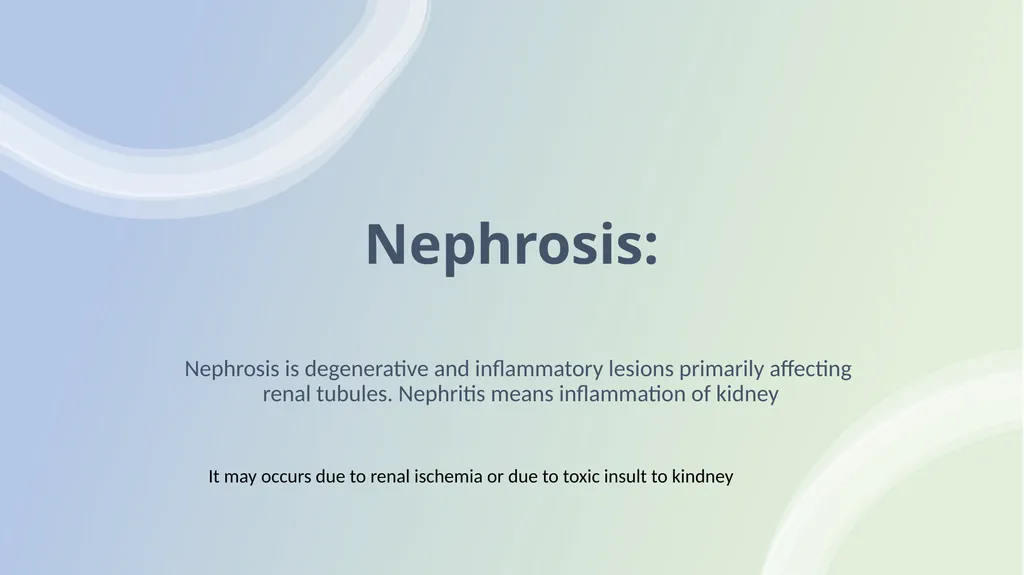 Diseases of Urinary System Part-2 Dr. Pallav - slide 15 of 25