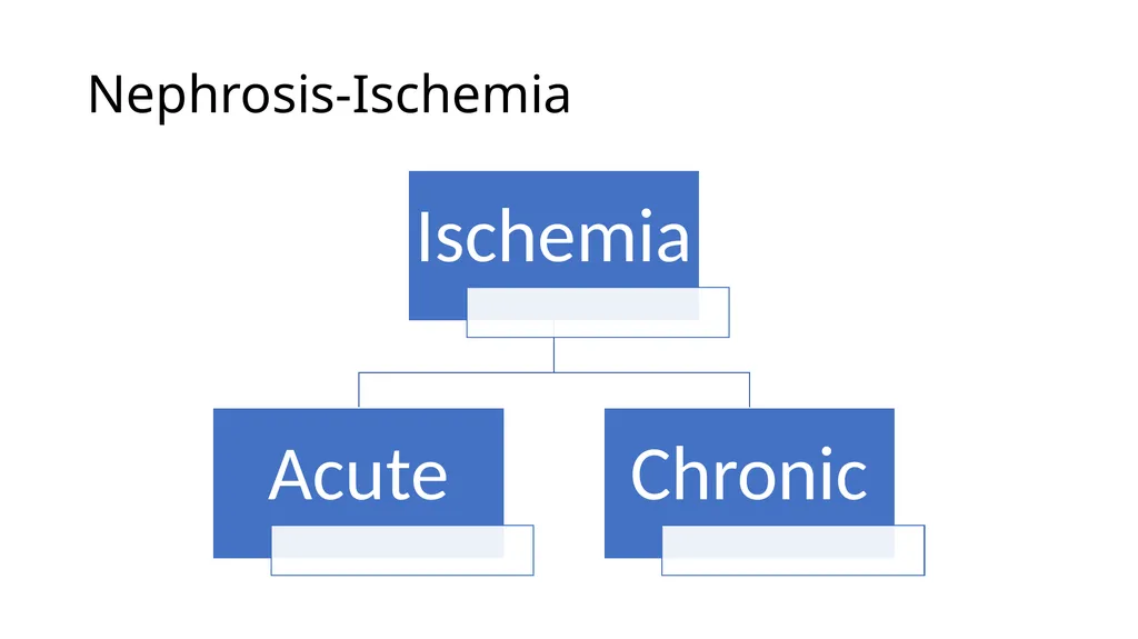 Diseases of Urinary System Part-2 Dr. Pallav - slide 16 of 25
