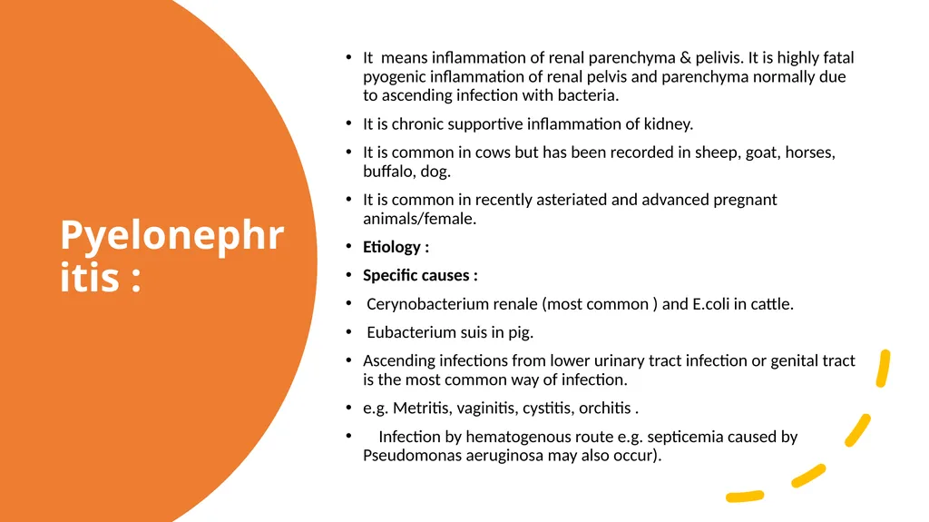 Diseases of Urinary System Part-2 Dr. Pallav - slide 21 of 25