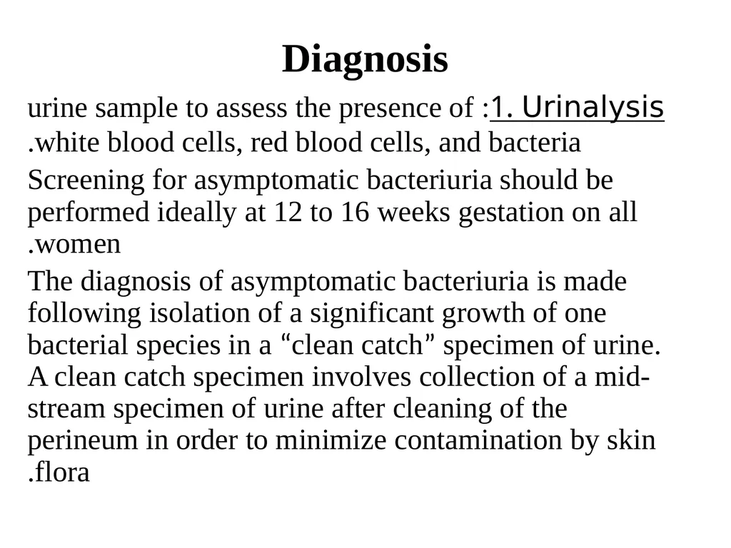 Urinary tract wellness and illness Prof. Dr. Rabea - slide 19 of 41