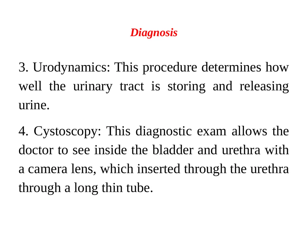 Urinary tract wellness and illness Prof. Dr. Rabea - slide 21 of 41