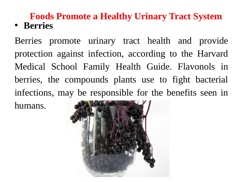 Urinary tract wellness and illness Prof. Dr. Rabea - slide 7 of 41