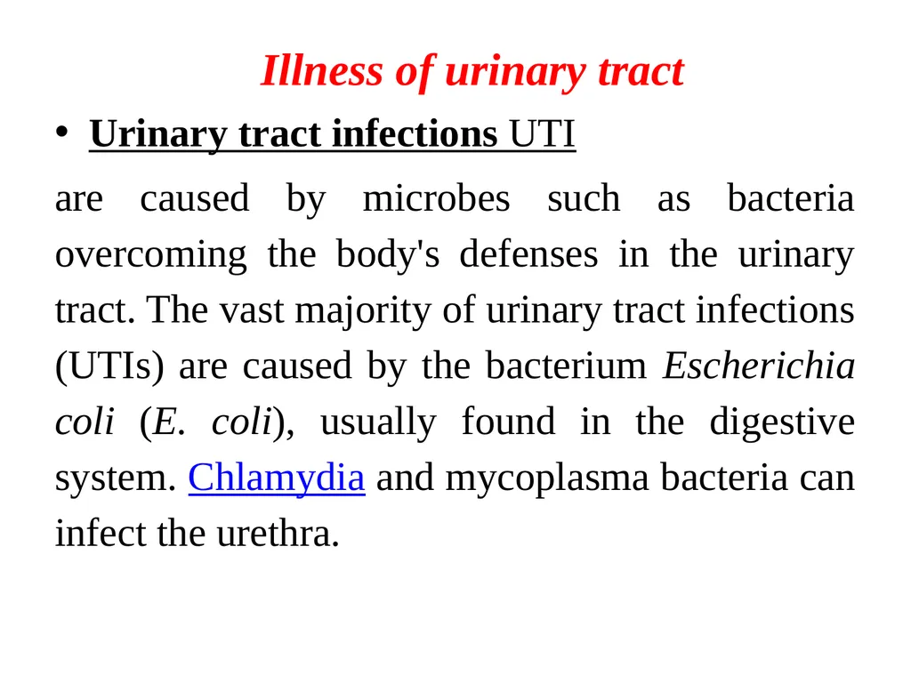 Urinary tract wellness and illness Prof. Dr. Rabea - slide 9 of 41