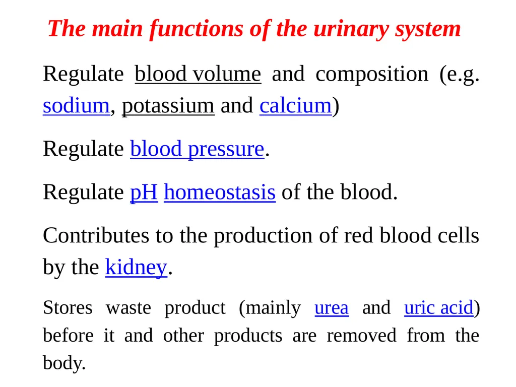Urinary tract wellness and illness Prof. Dr. Rabea - slide 4 of 41