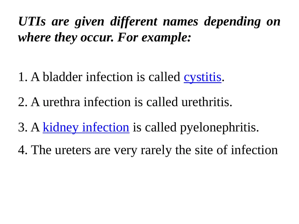 Urinary tract wellness and illness Prof. Dr. Rabea - slide 10 of 41