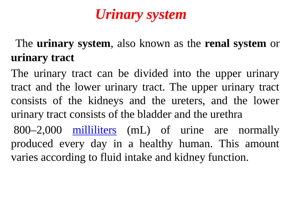 Urinary tract wellness and illness Prof. Dr. Rabea - slide 2 of 41
