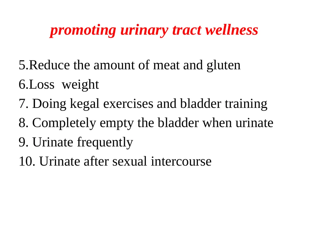 Urinary tract wellness and illness Prof. Dr. Rabea - slide 6 of 41