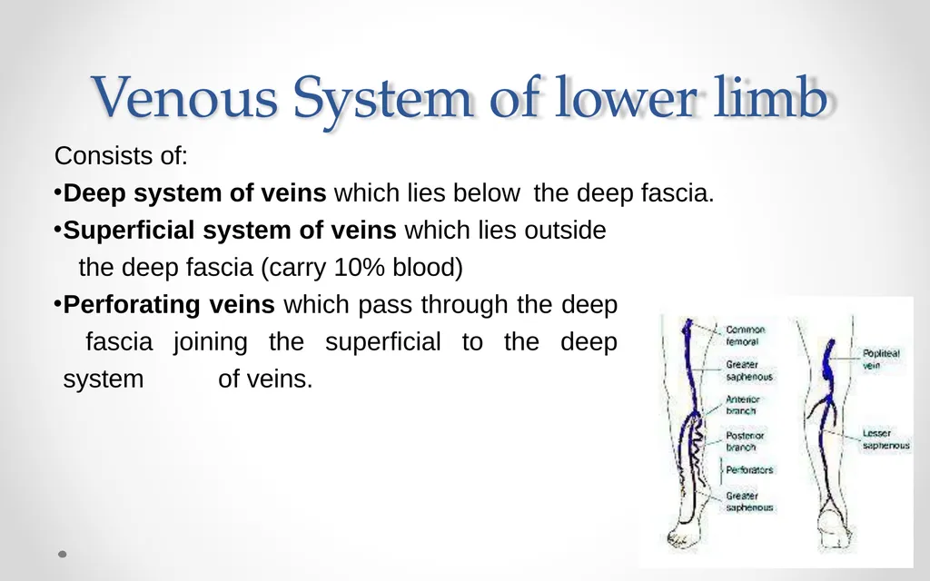 VARICOSE VEIN Odessa National Medical University - slide 5 of 19