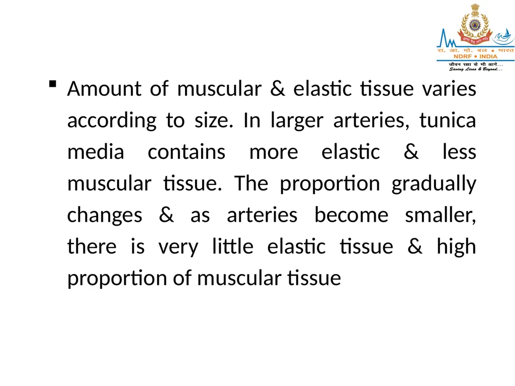 CIRCULATORY SYSTEM LESSON -7A BY JITENDER YADAV - slide 31 of 70