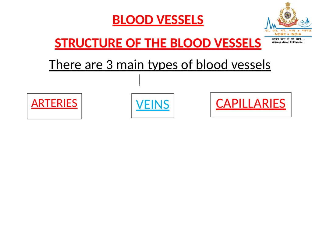 CIRCULATORY SYSTEM LESSON -7A BY JITENDER YADAV - slide 28 of 70