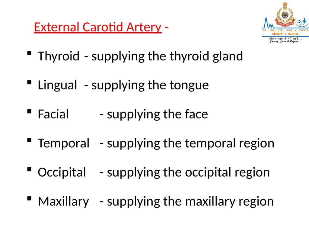 CIRCULATORY SYSTEM LESSON -7A BY JITENDER YADAV - slide 65 of 70