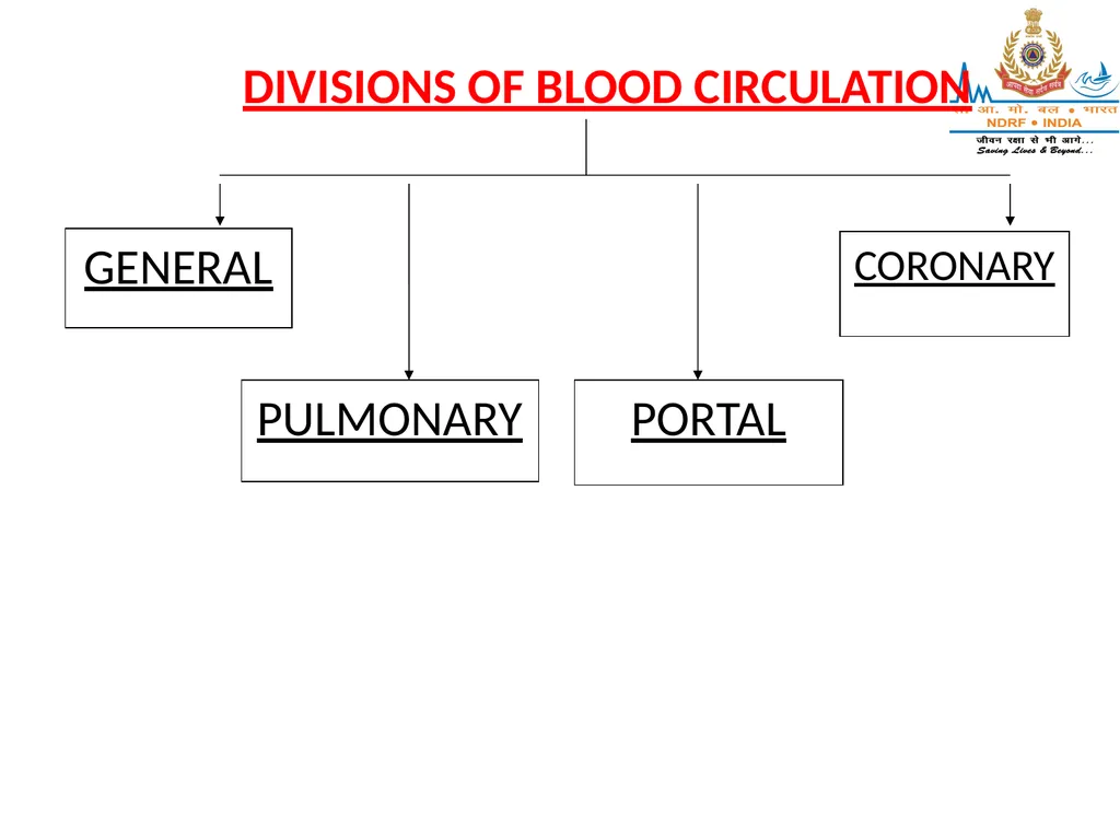 CIRCULATORY SYSTEM LESSON -7A BY JITENDER YADAV - slide 54 of 70