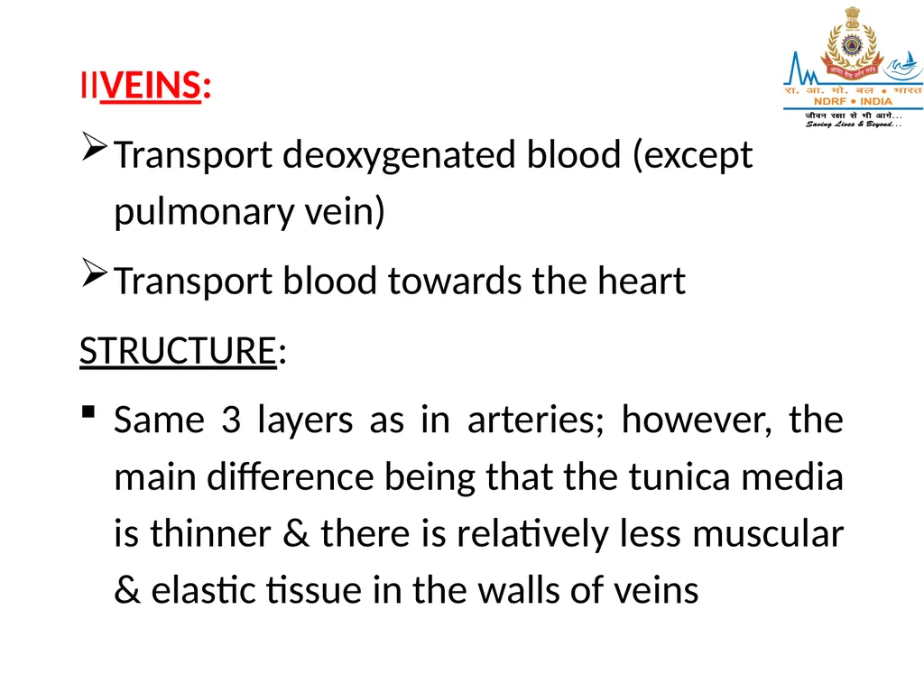 CIRCULATORY SYSTEM LESSON -7A BY JITENDER YADAV - slide 32 of 70