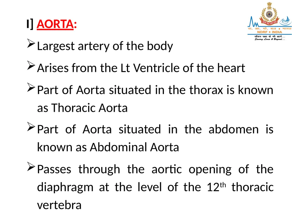 CIRCULATORY SYSTEM LESSON -7A BY JITENDER YADAV - slide 63 of 70