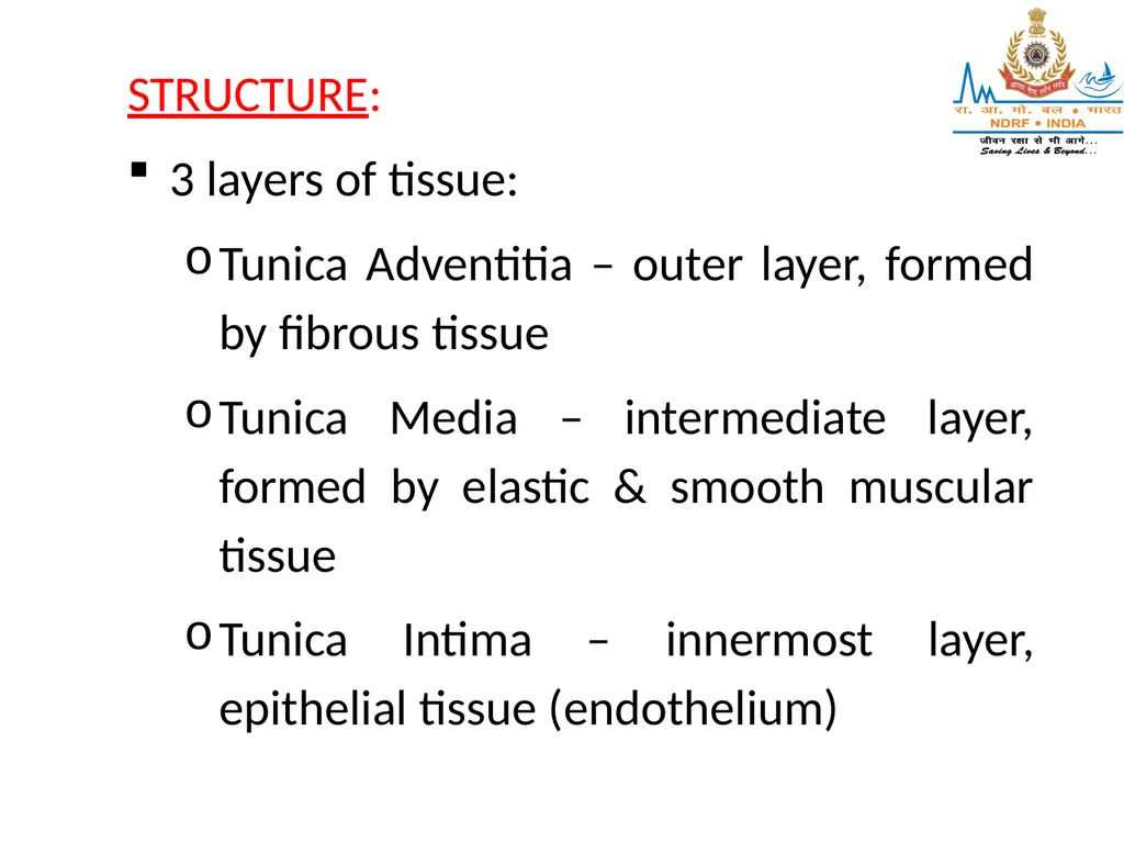CIRCULATORY SYSTEM LESSON -7A BY JITENDER YADAV - slide 30 of 70