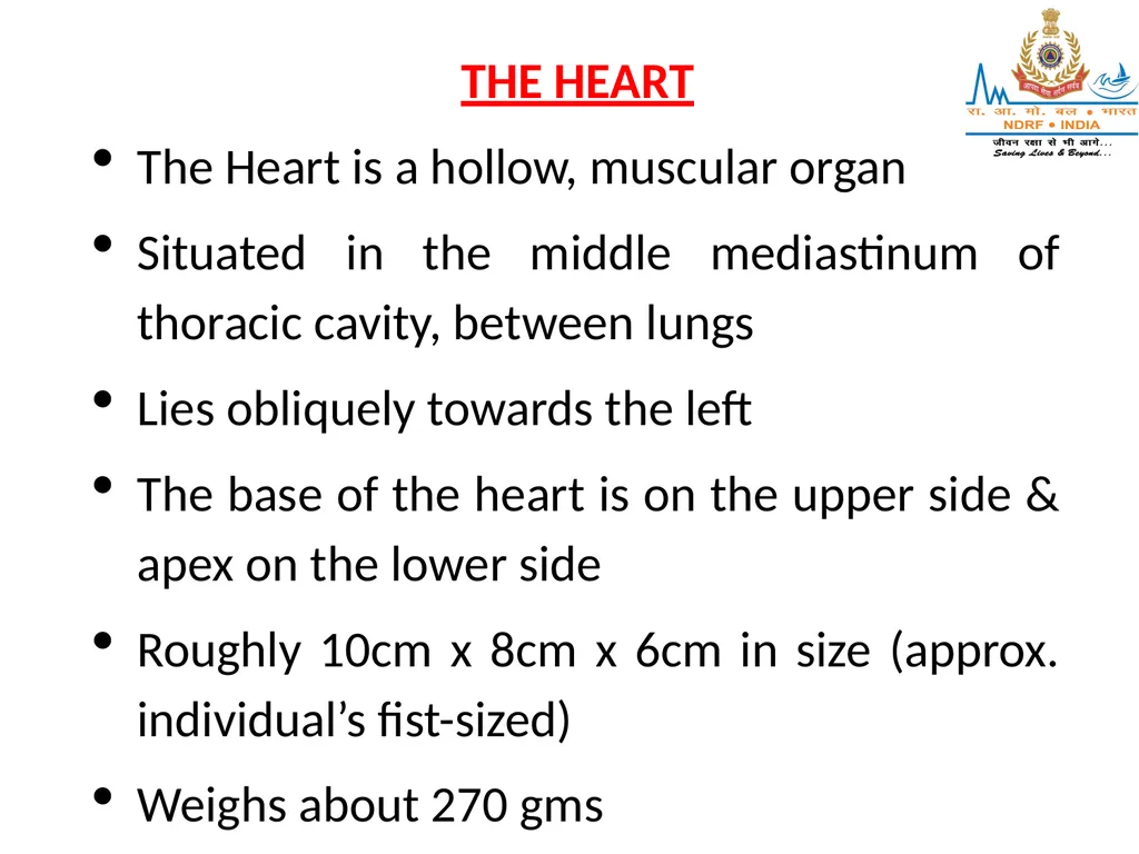 CIRCULATORY SYSTEM LESSON -7A BY JITENDER YADAV - slide 38 of 70