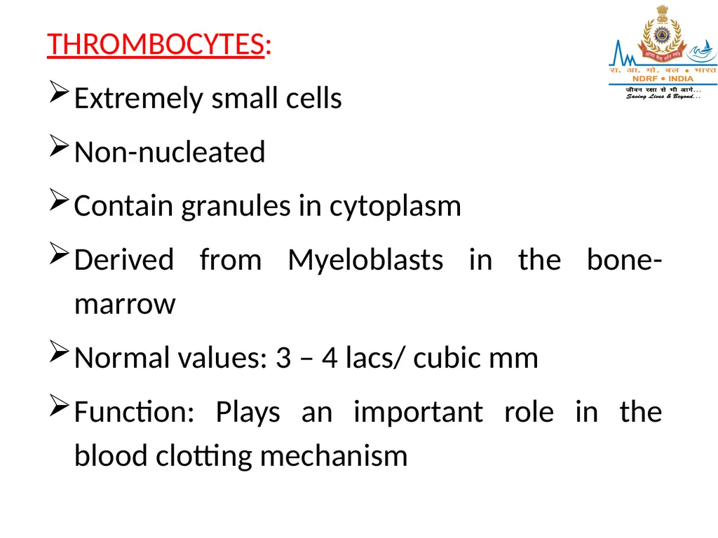 CIRCULATORY SYSTEM LESSON -7A BY JITENDER YADAV - slide 17 of 70