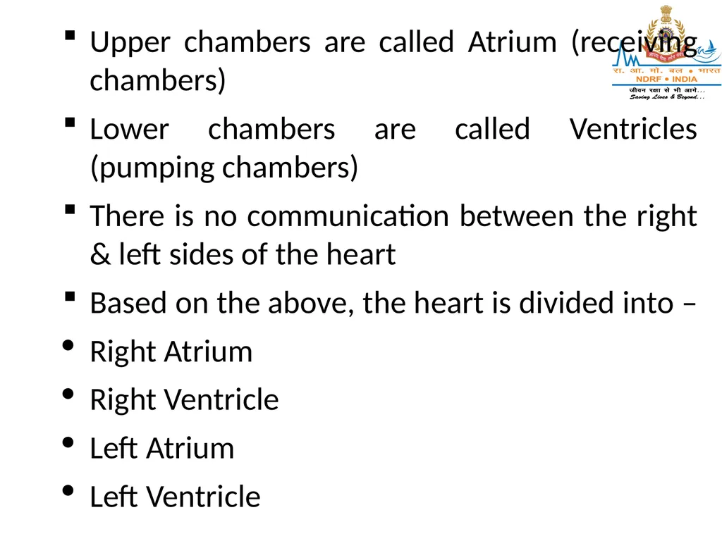 CIRCULATORY SYSTEM LESSON -7A BY JITENDER YADAV - slide 42 of 70