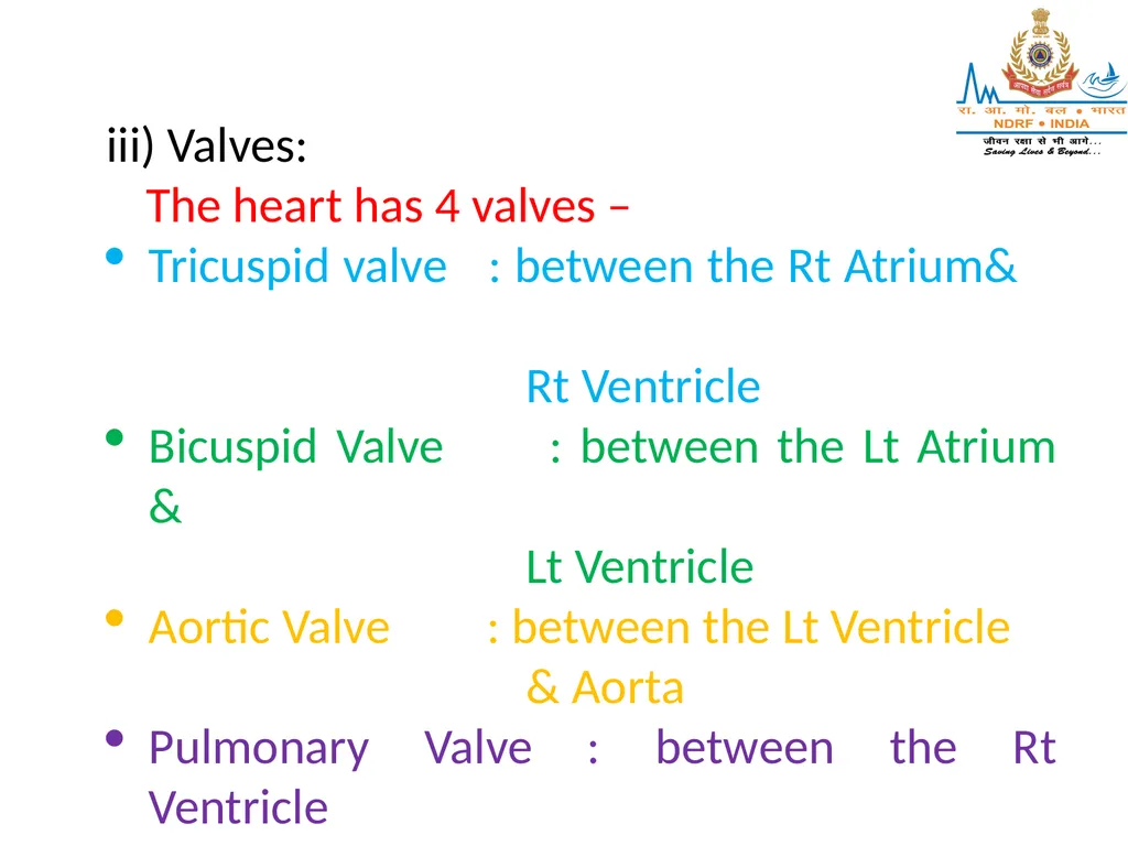 CIRCULATORY SYSTEM LESSON -7A BY JITENDER YADAV - slide 43 of 70