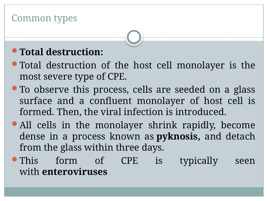 Viral Pathogenesis “No virus is known to do good. - slide 21 of 26