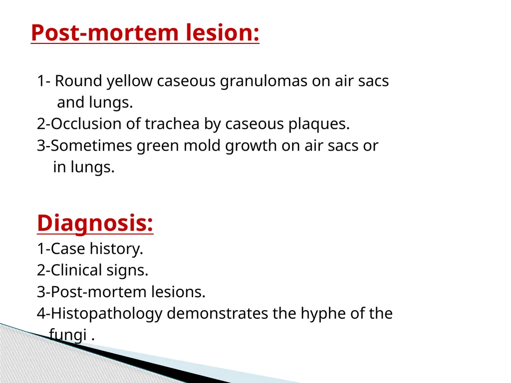 poultry diseases 1 fourth stage Dr.Harith Abdulla - slide 5 of 9