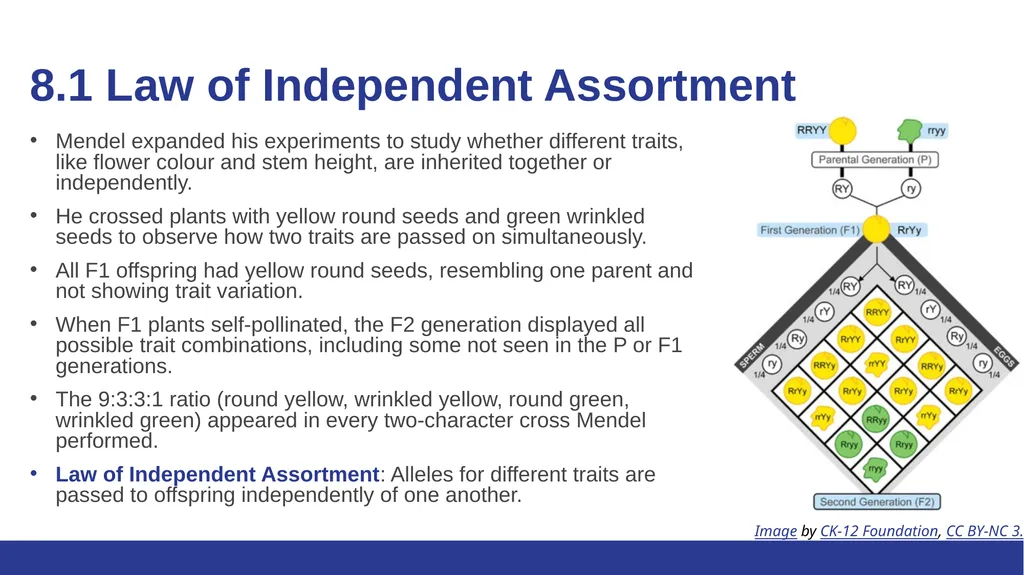 Biology Essentials Chapter 8: Patterns of - slide 6 of 25