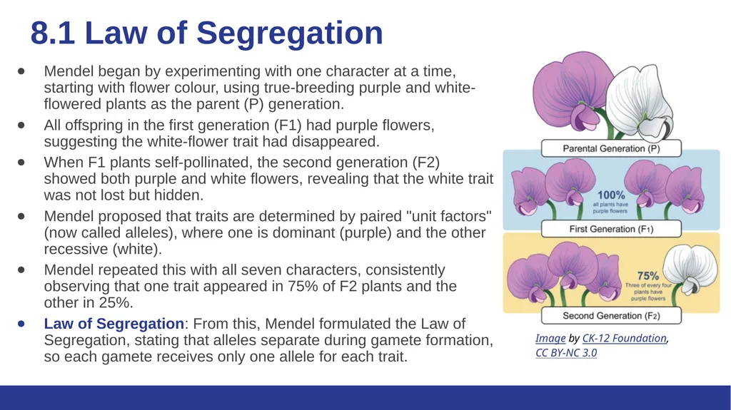 Biology Essentials Chapter 8: Patterns of - slide 5 of 25