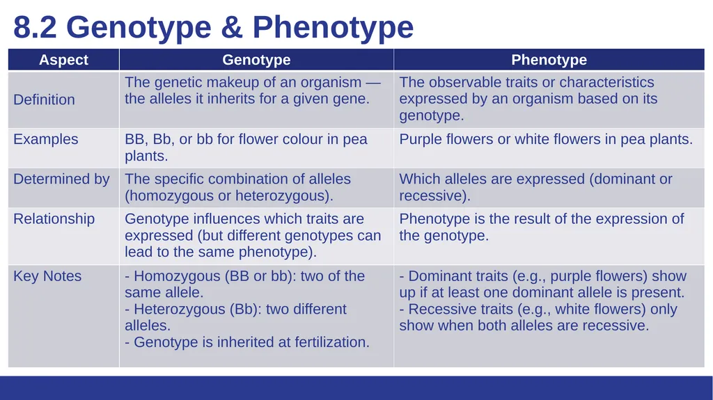 Biology Essentials Chapter 8: Patterns of - slide 9 of 25